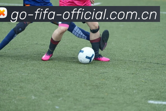 FIFA世界杯平台生态图