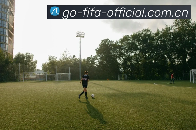 FIFA世界杯 移动数据终端界面